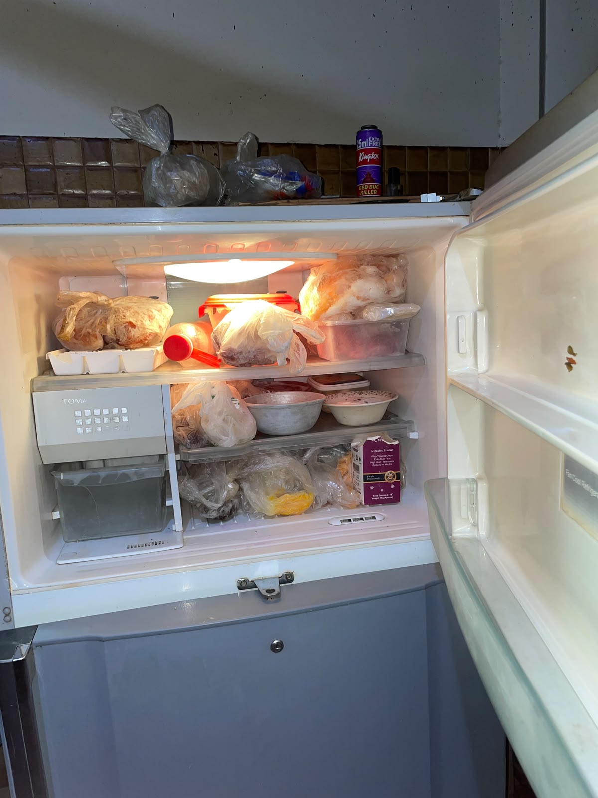 Toshiba hybrid plasma fridge with automatic ice maker