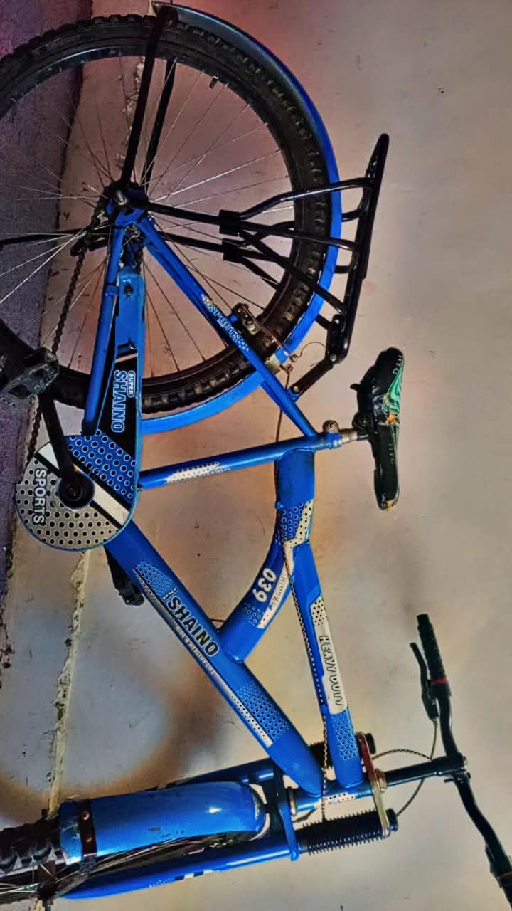 Shaino Cycle