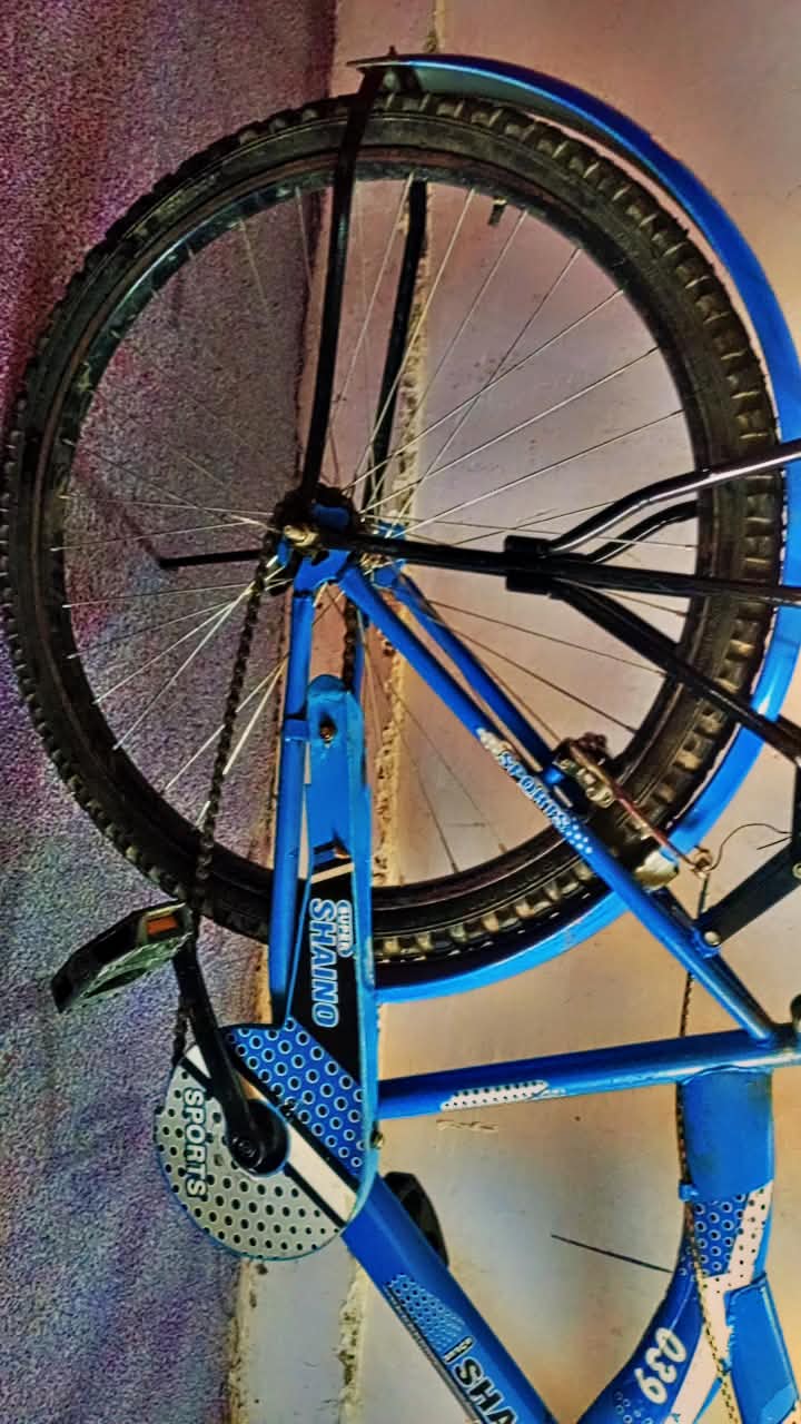 Shaino Cycle