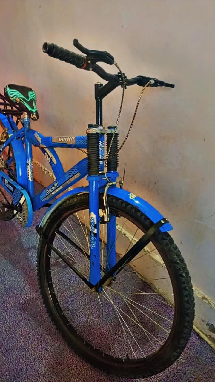 Shaino Cycle