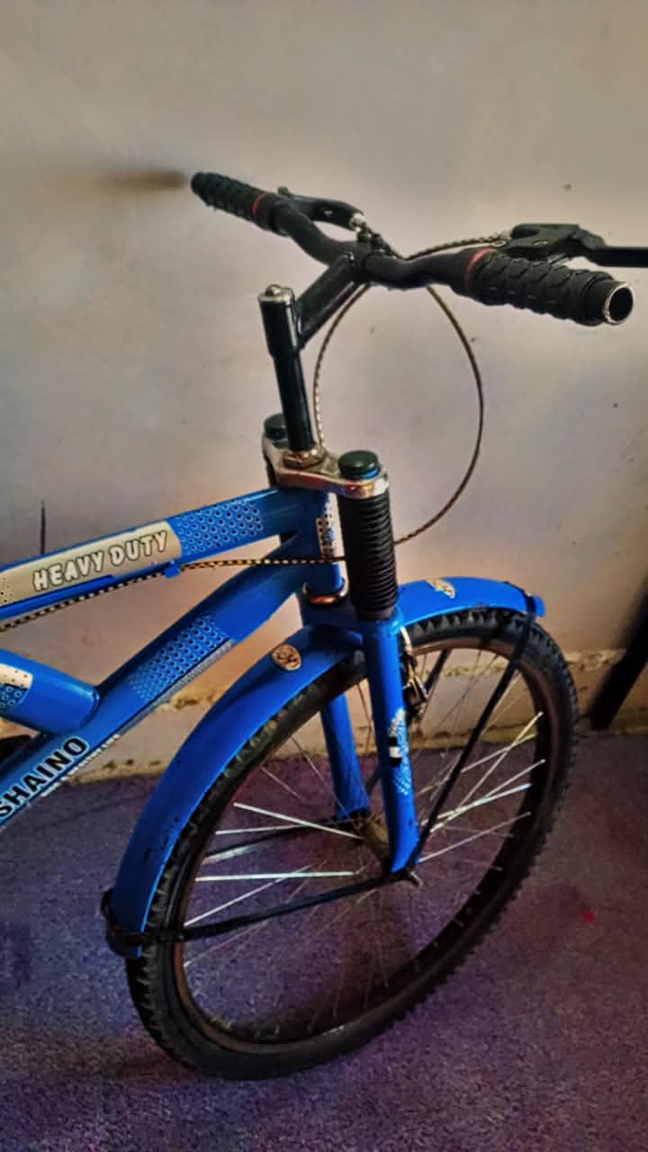 Shaino Cycle
