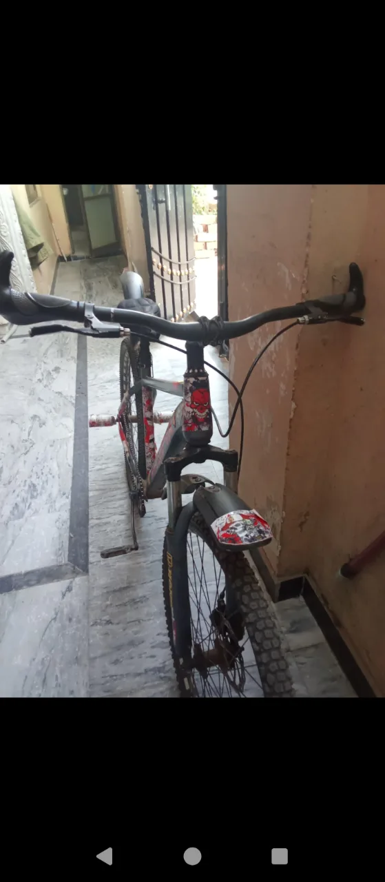 MTB Cycle