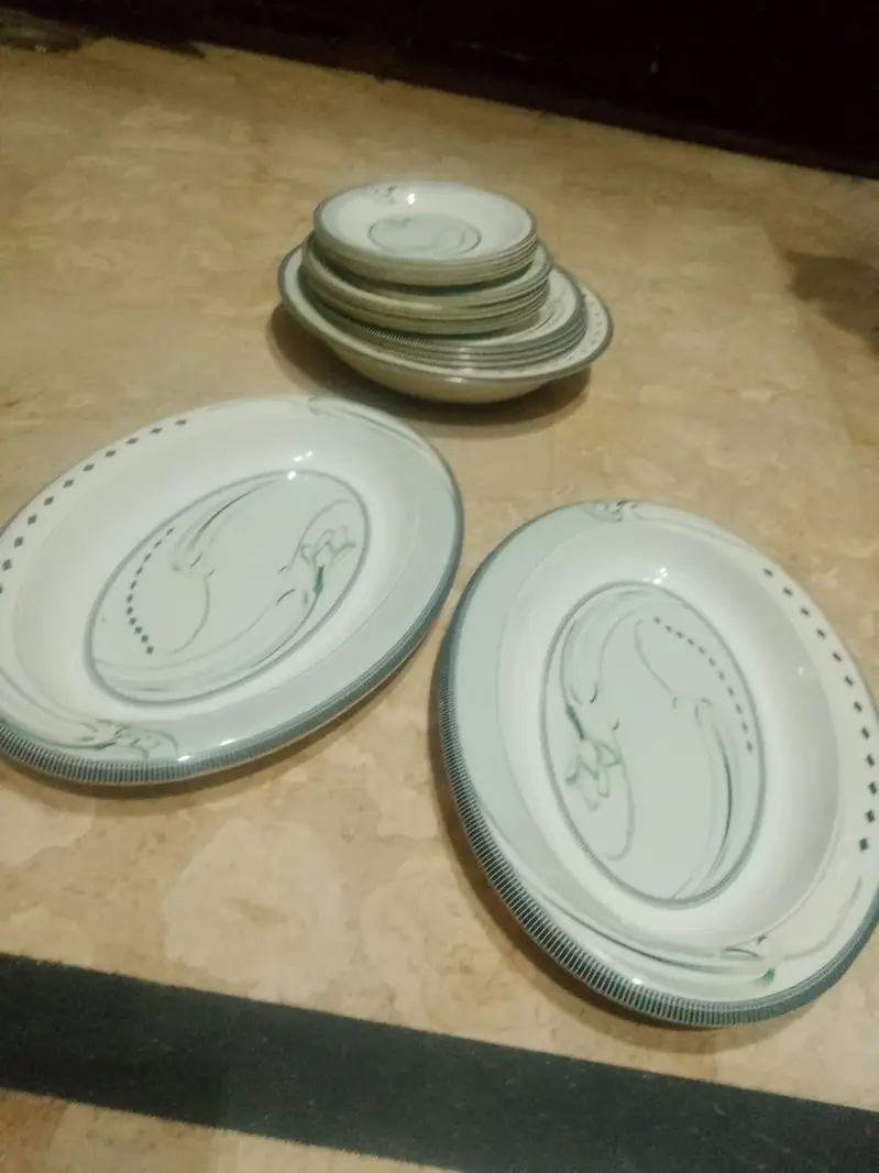 Old Dinner Set
