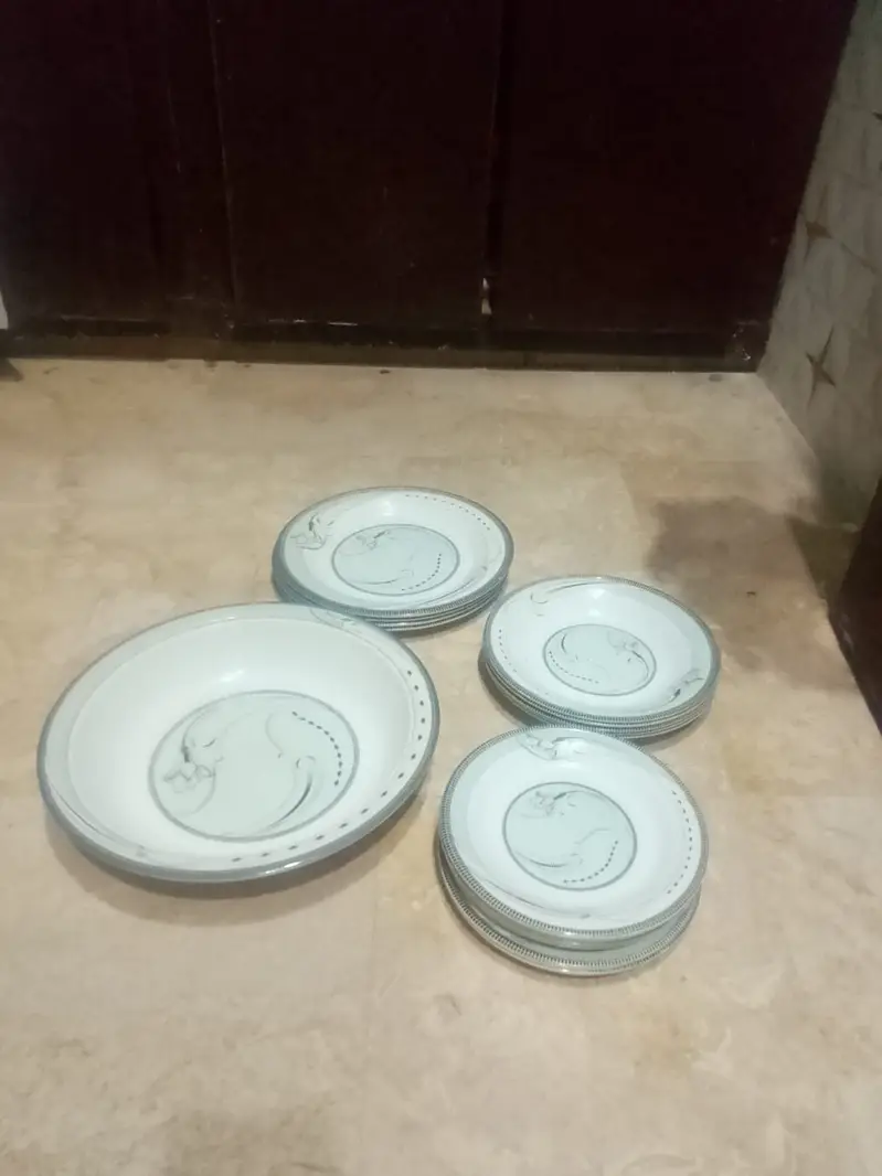 Old Dinner Set